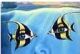 [Avatar]