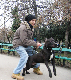 [Avatar]