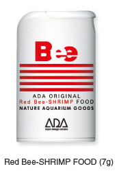 Red Bee SHRIMP - ADA