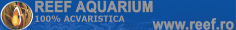 Reef Aquarium - 100% acvaristica