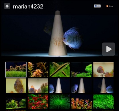 Galerie foto -marian 4232